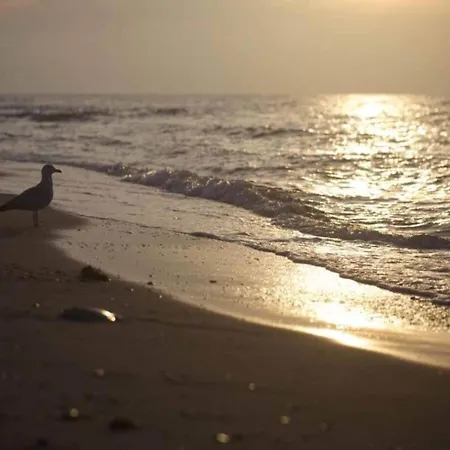 Modern In Brusow With Roofed Terrace Prázdninový dům