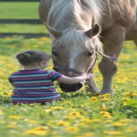 Modern In Brusow With Roofed Terrace Prázdninový dům Kröpelin