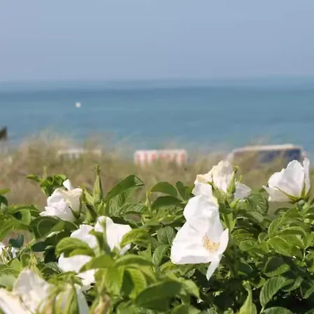 Modern In Brusow With Roofed Terrace Prázdninový dům