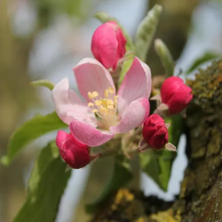 Modern In Brusow With Roofed Terrace Prázdninový dům *