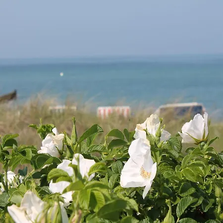Modern In Brusow With Roofed Terrace Kröpelin