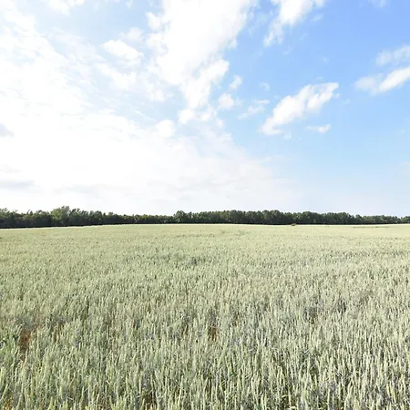 Modern In Brusow With Roofed Terrace *