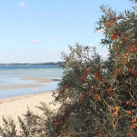 בית נופש Modern In Brusow With Roofed Terrace *