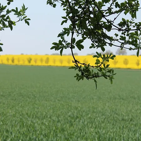 בית נופש Modern In Brusow With Roofed Terrace Kröpelin