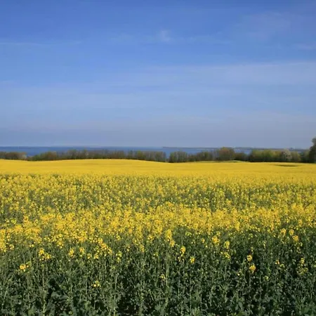 Modern In Brusow With Roofed Terrace * Kröpelin