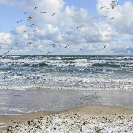 Prázdninový dům Modern In Brusow With Roofed Terrace *