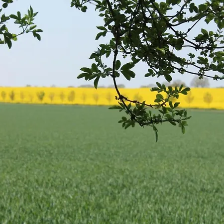 Modern In Brusow With Roofed Terrace Kröpelin