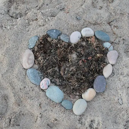 Modern In Brusow With Roofed Terrace * Kröpelin