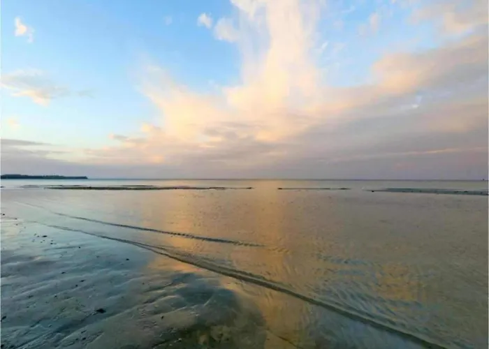 Modern In Brusow With Roofed Terrace *