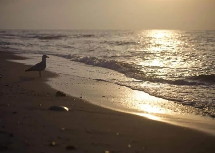 Modern In Brusow With Roofed Terrace 度假居
