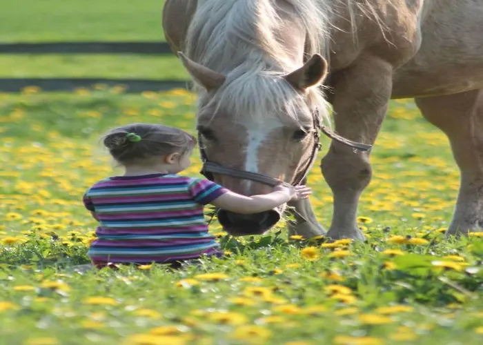 Modern In Brusow With Roofed Terrace 度假居 Kröpelin