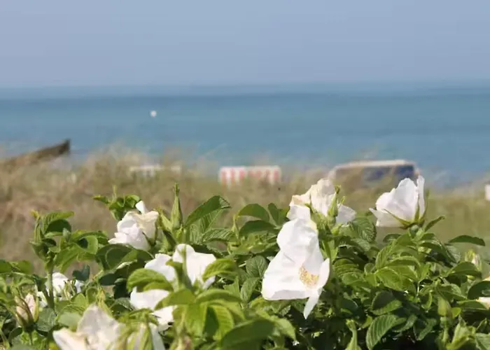 Modern In Brusow With Roofed Terrace 度假居