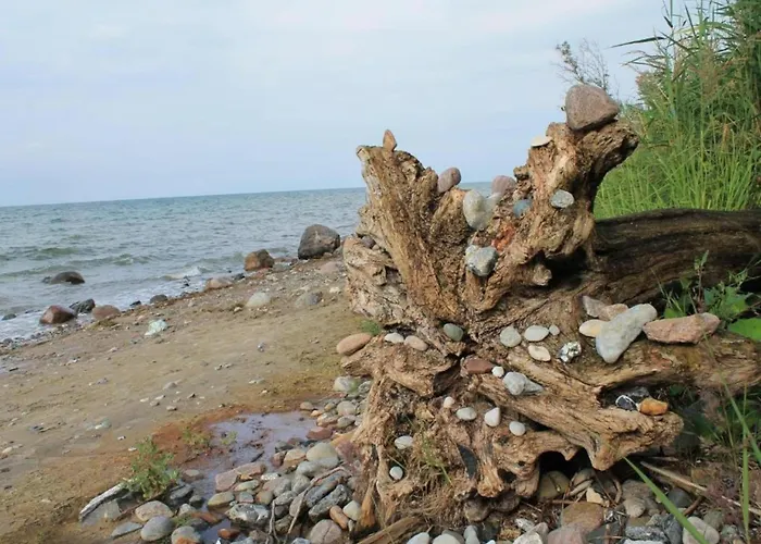 度假居 Modern In Brusow With Roofed Terrace