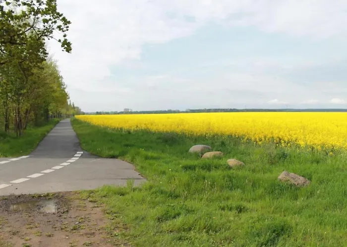 Modern In Brusow With Roofed Terrace 度假居