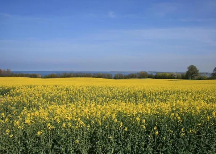 Modern In Brusow With Roofed Terrace * Kröpelin