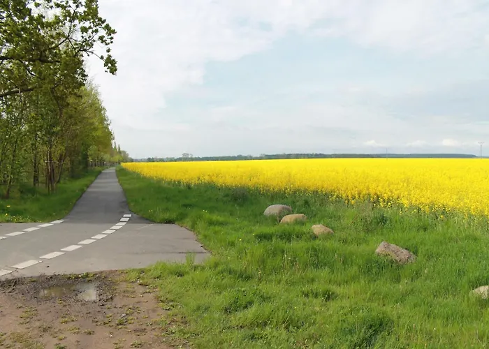 度假居 Modern In Brusow With Roofed Terrace