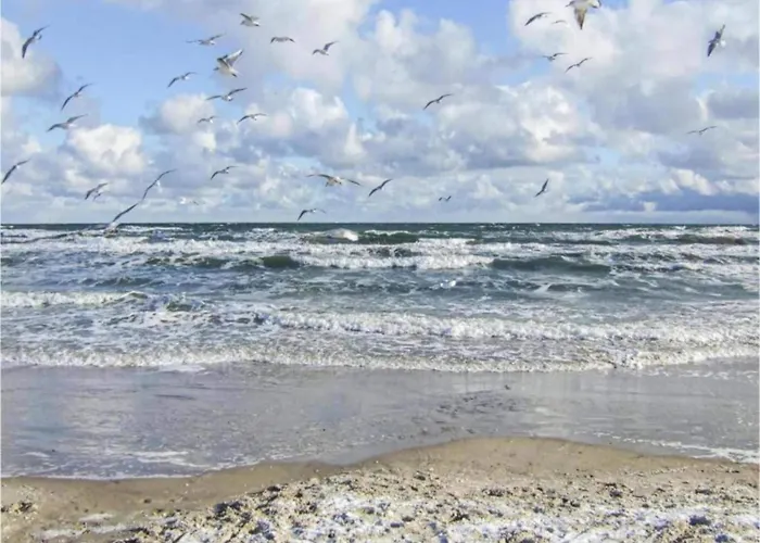 度假居 Modern In Brusow With Roofed Terrace *