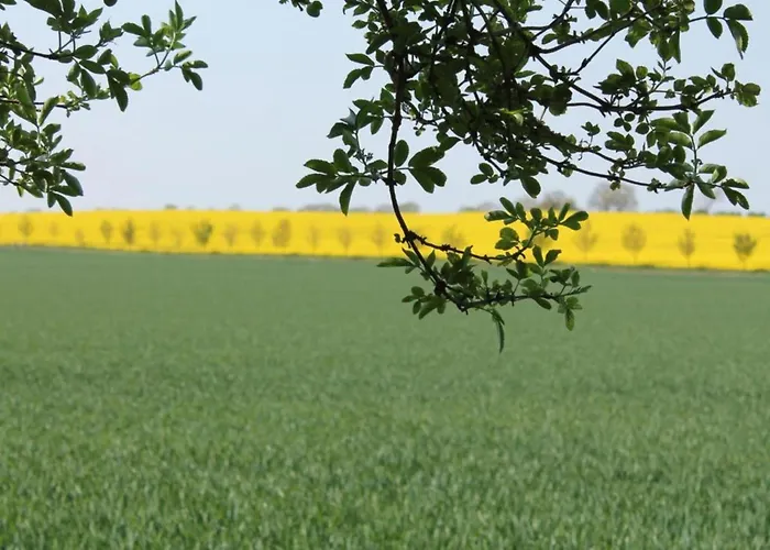 Modern In Brusow With Roofed Terrace Kröpelin